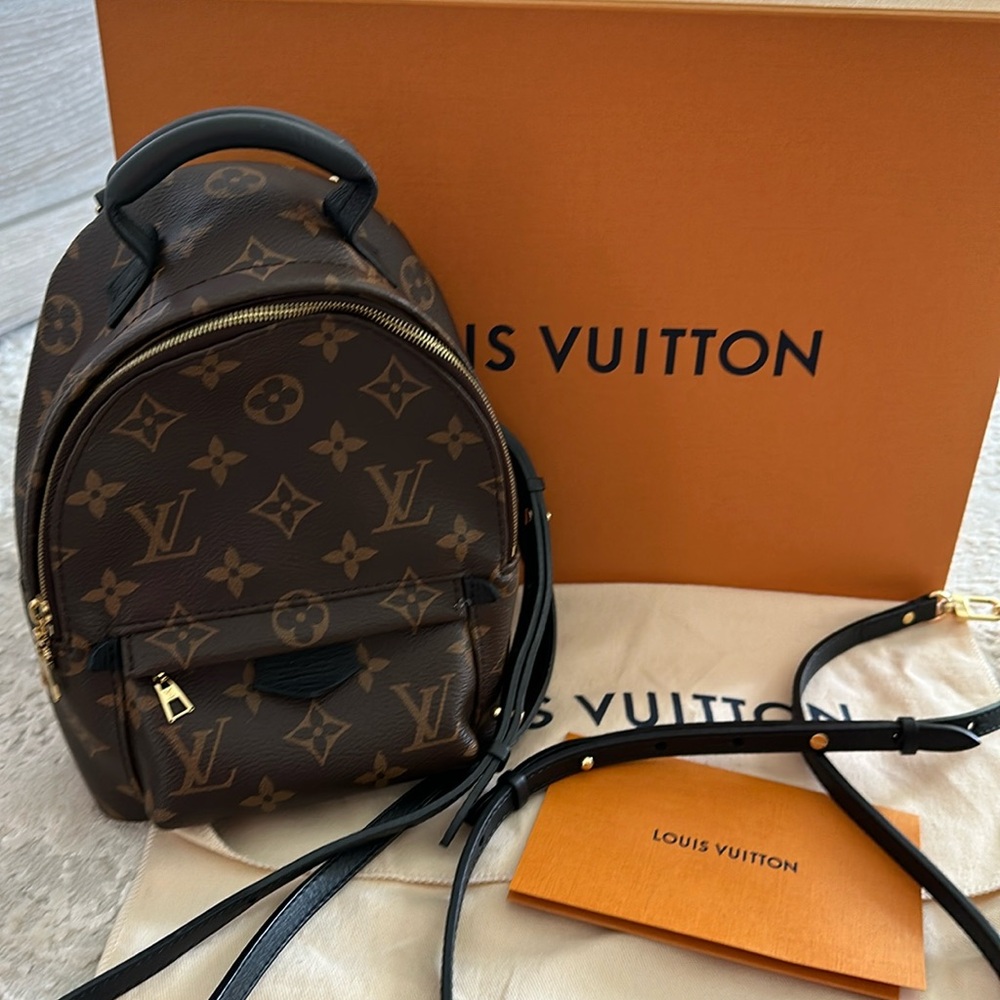 Louis Vuitton Palm Springs Mini